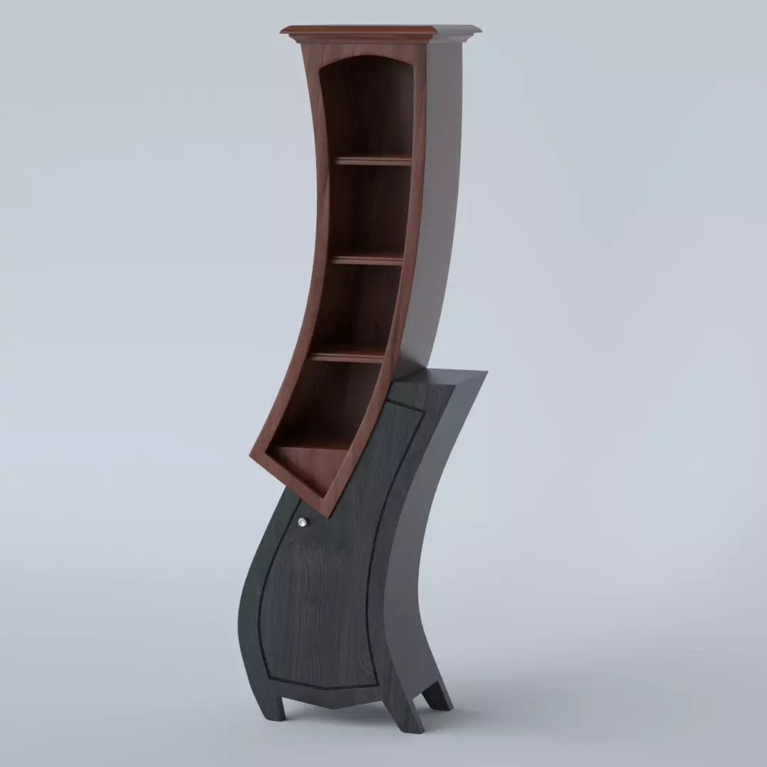 Cupboard bookcase with curved shape 3D model_0