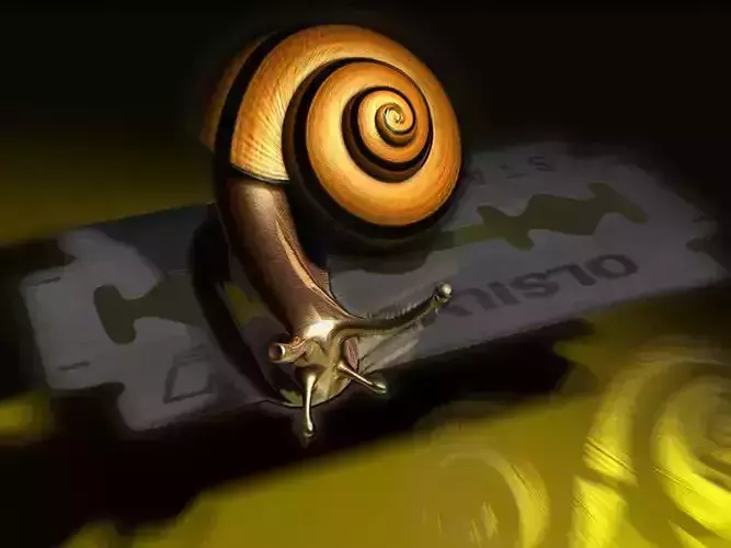 Snail on the Razor 3D model