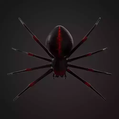 Spider with 8K PBR Textures 3D model