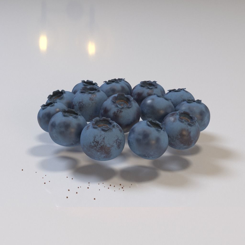 Blueberry tartlet 3D model_20
