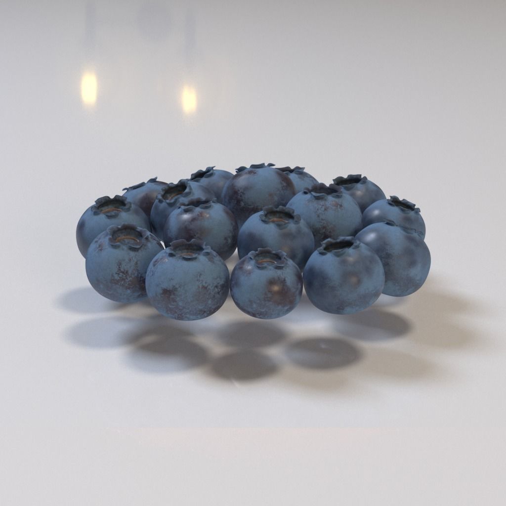 Blueberry tartlet 3D model_28