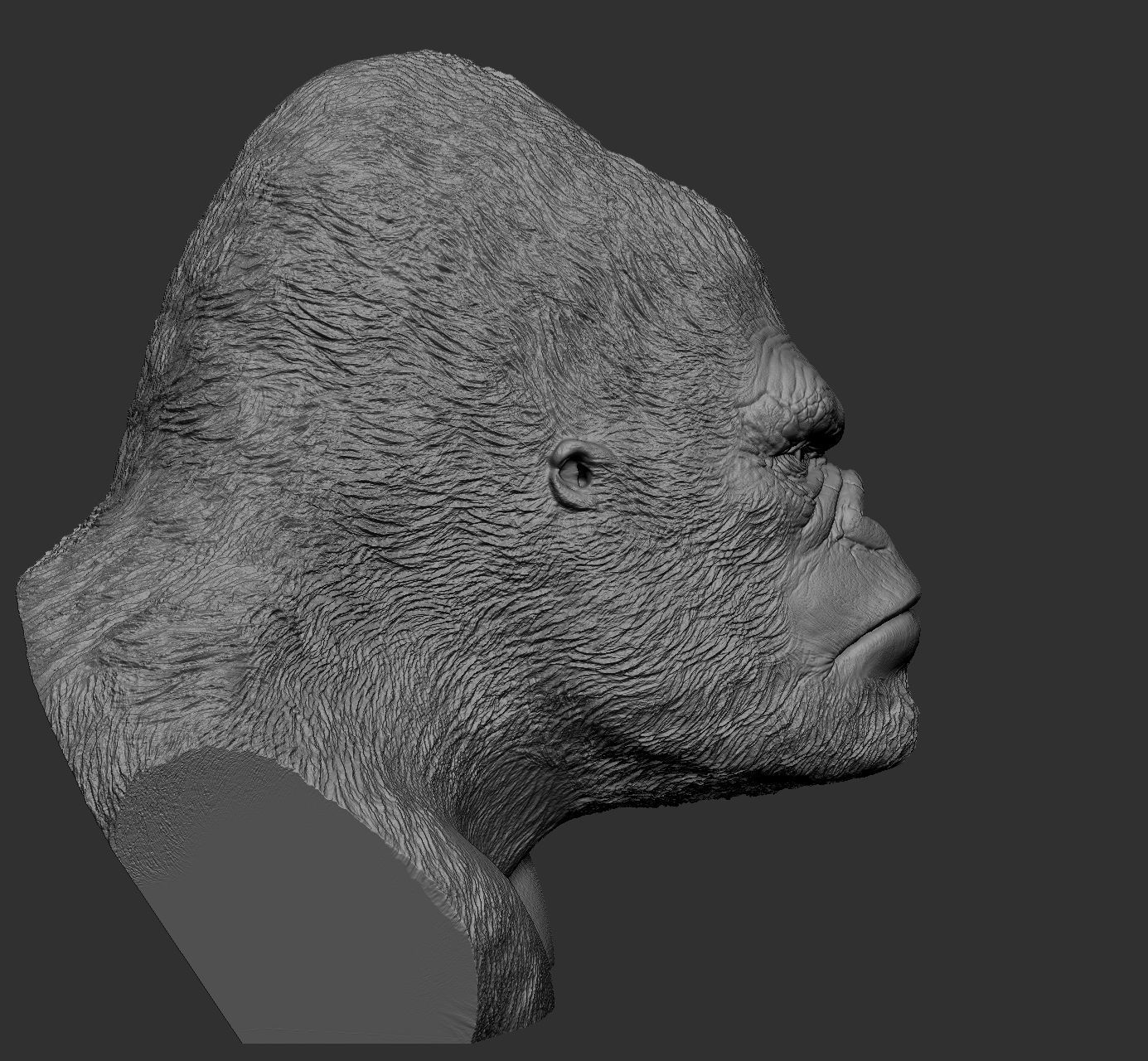 King kong bust Free 3D print model_6