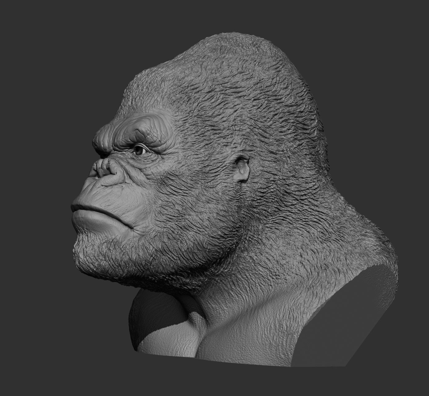 King kong bust Free 3D print model_9