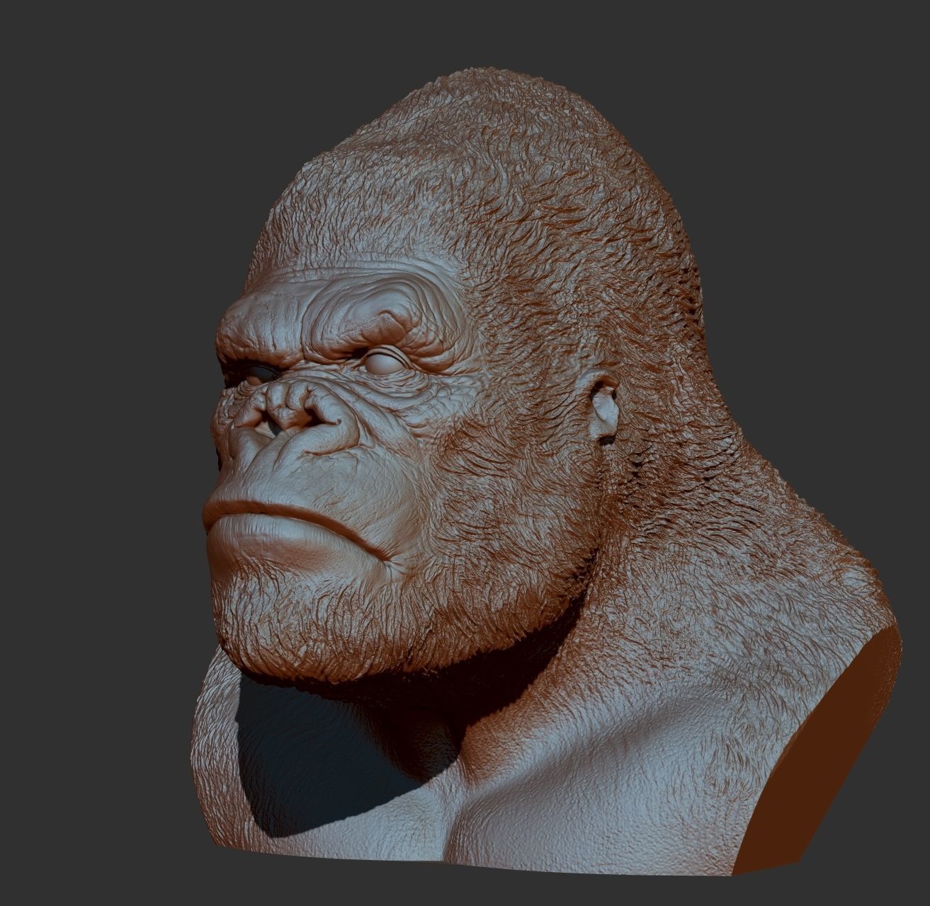 King kong bust Free 3D print model_2