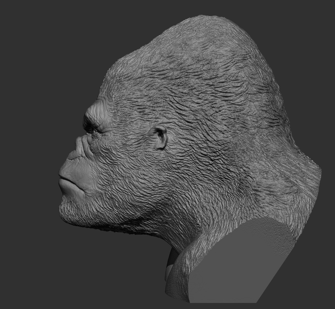 King kong bust Free 3D print model_7