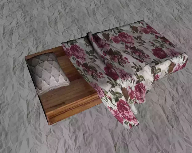 Bed sheet with pillow