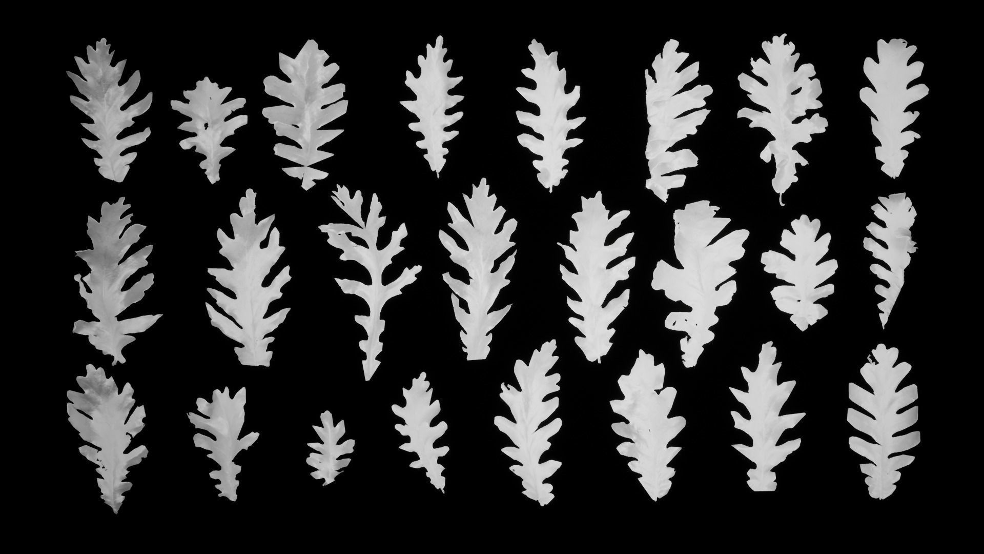 Dead Oak Leaves 4K Scanned Low-poly 3D model_16