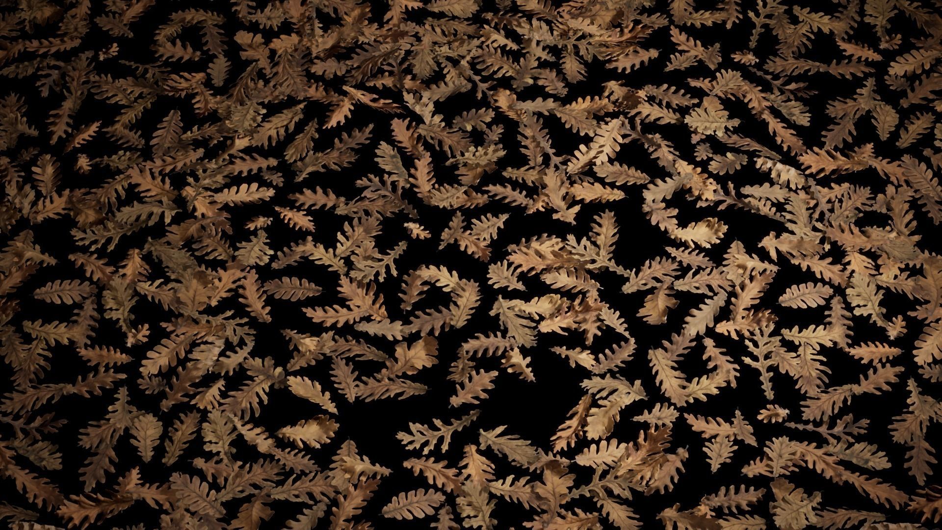 Dead Oak Leaves 4K Scanned Low-poly 3D model_1