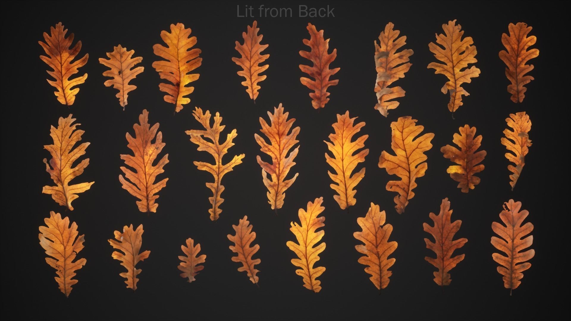 Dead Oak Leaves 4K Scanned Low-poly 3D model_4