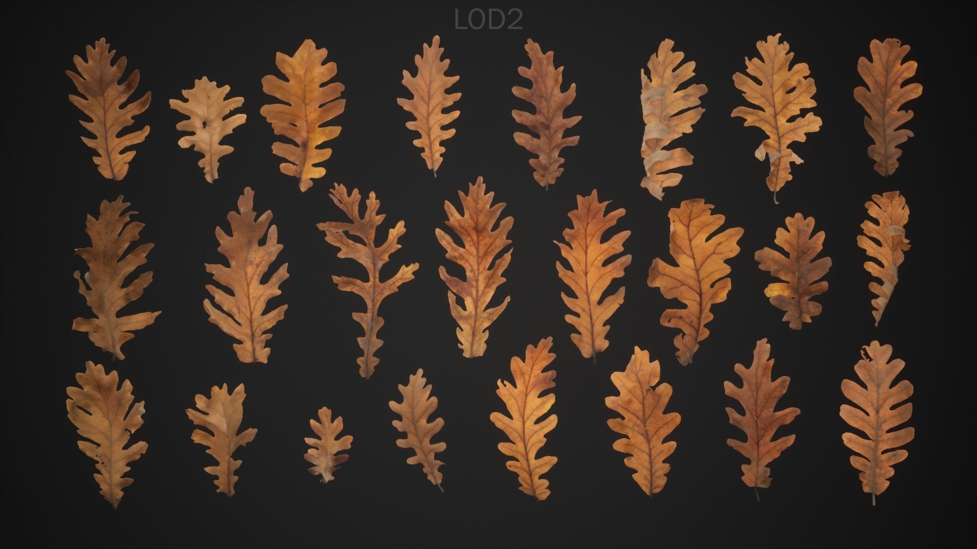 Dead Oak Leaves 4K Scanned Low-poly 3D model_7