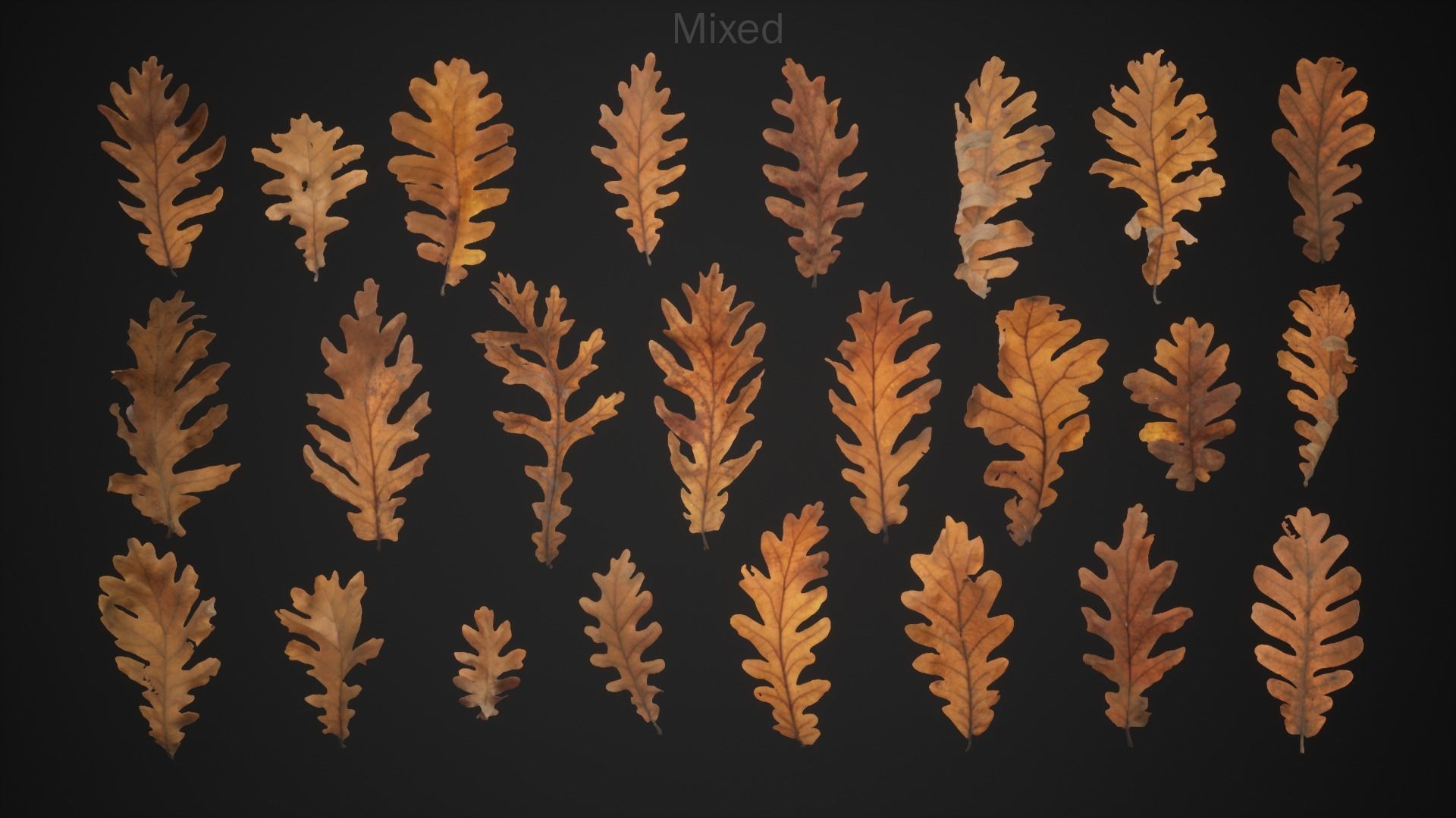 Dead Oak Leaves 4K Scanned Low-poly 3D model_3