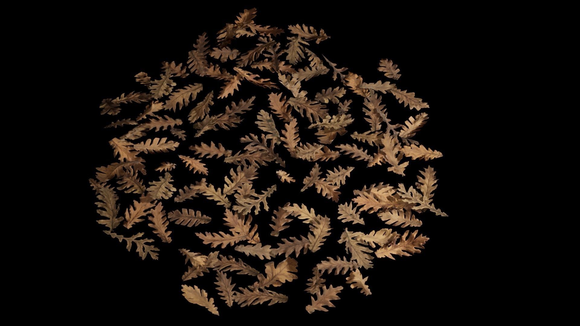 Dead Oak Leaves 4K Scanned Low-poly 3D model_22