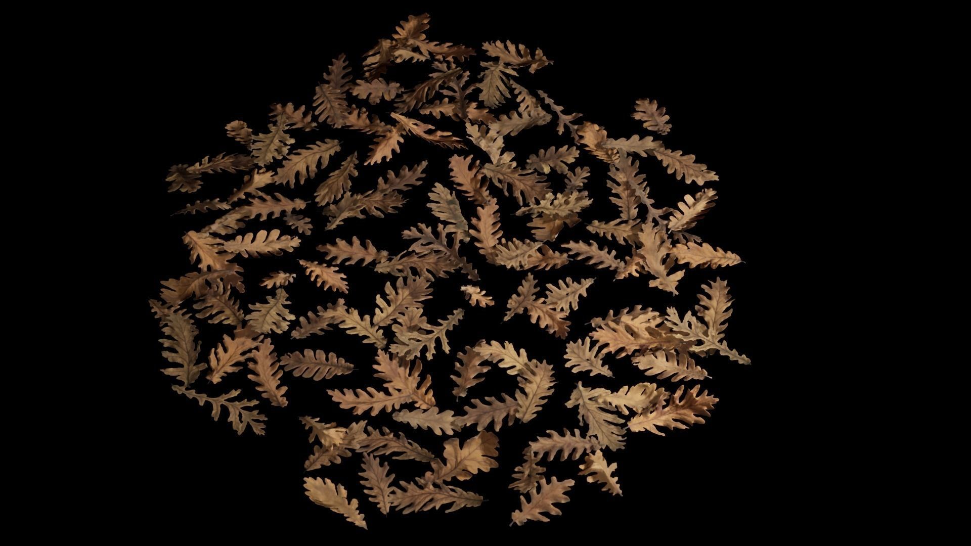 Dead Oak Leaves 4K Scanned Low-poly 3D model_20