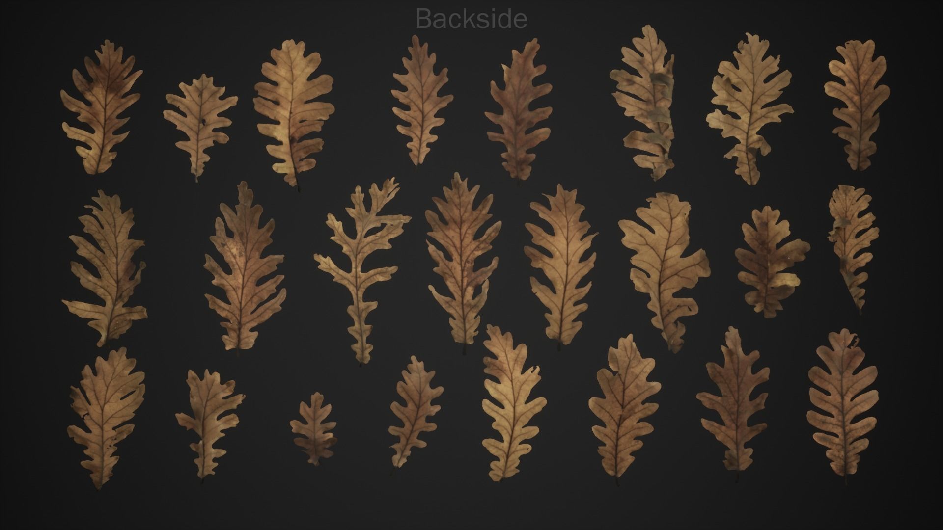 Dead Oak Leaves 4K Scanned Low-poly 3D model_18