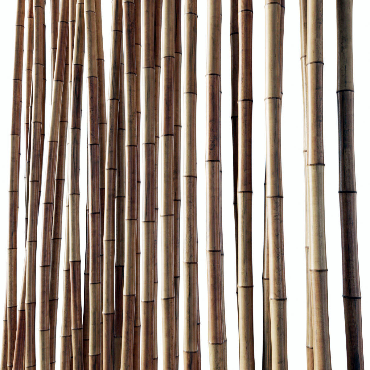 Bamboo decor n18a 3D model_8