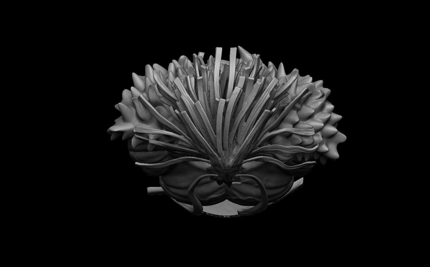 Kaido Bust One piece 3D print model_6