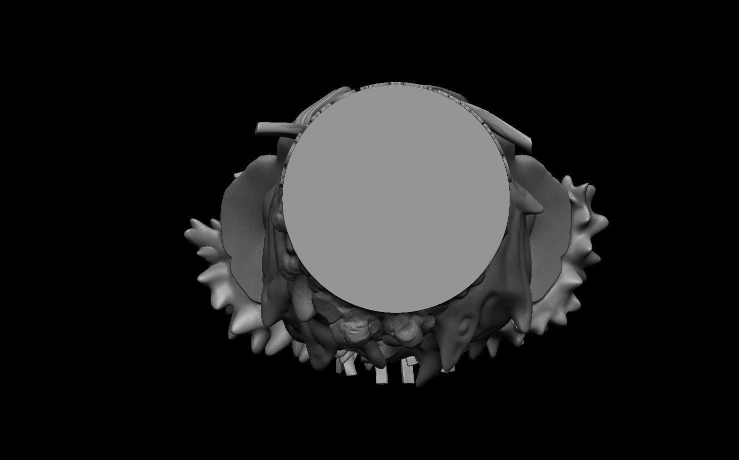 Kaido Bust One piece 3D print model_9