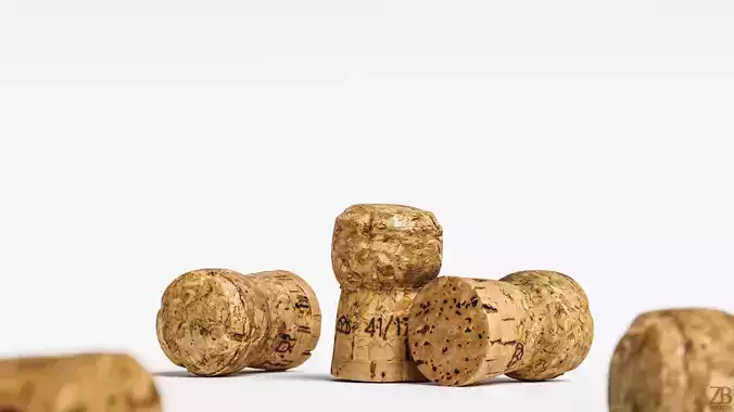 Cork 001 3D model