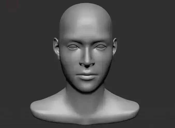 Male head base mesh