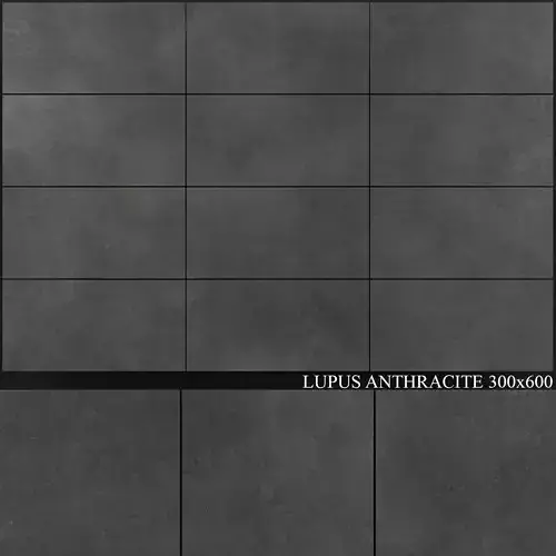 Yurtbay Seramik Lupus Anthracite 300x600