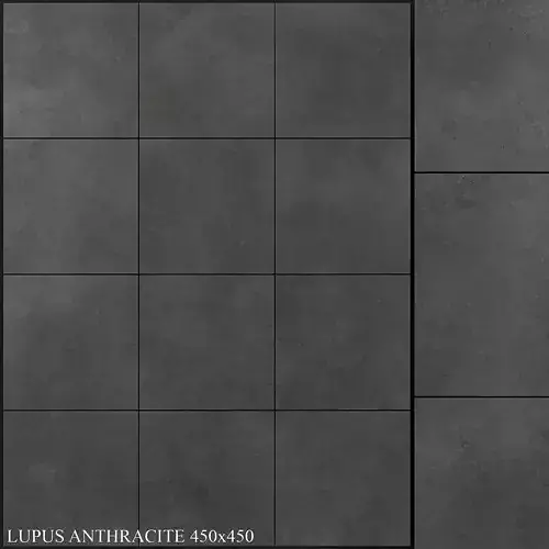 Yurtbay Seramik Lupus Anthracite 450x450 3D model