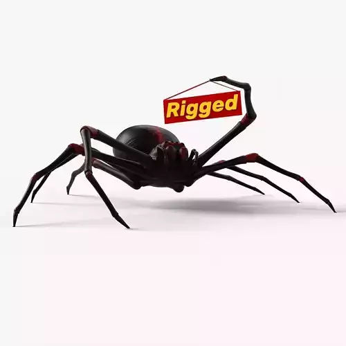 Rigged Spider with 8K PBR Textures Low-poly 3D model