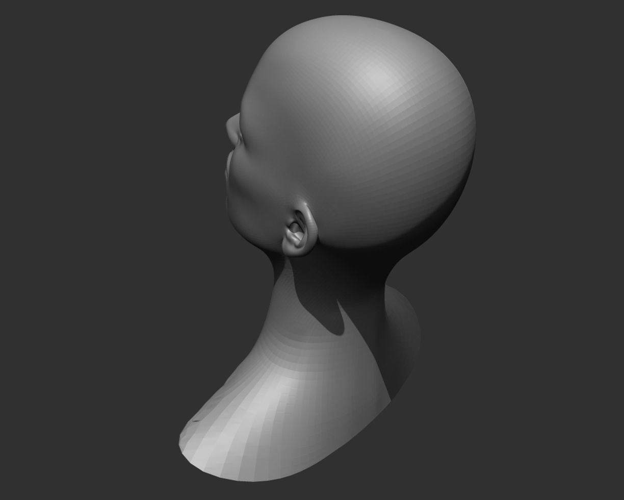 Realistic Human Heads 3D Model Collection_24