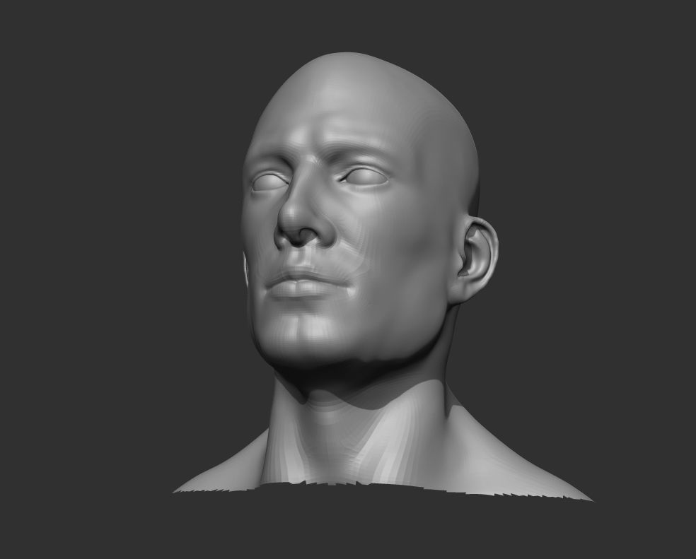 Realistic Human Heads 3D Model Collection_45
