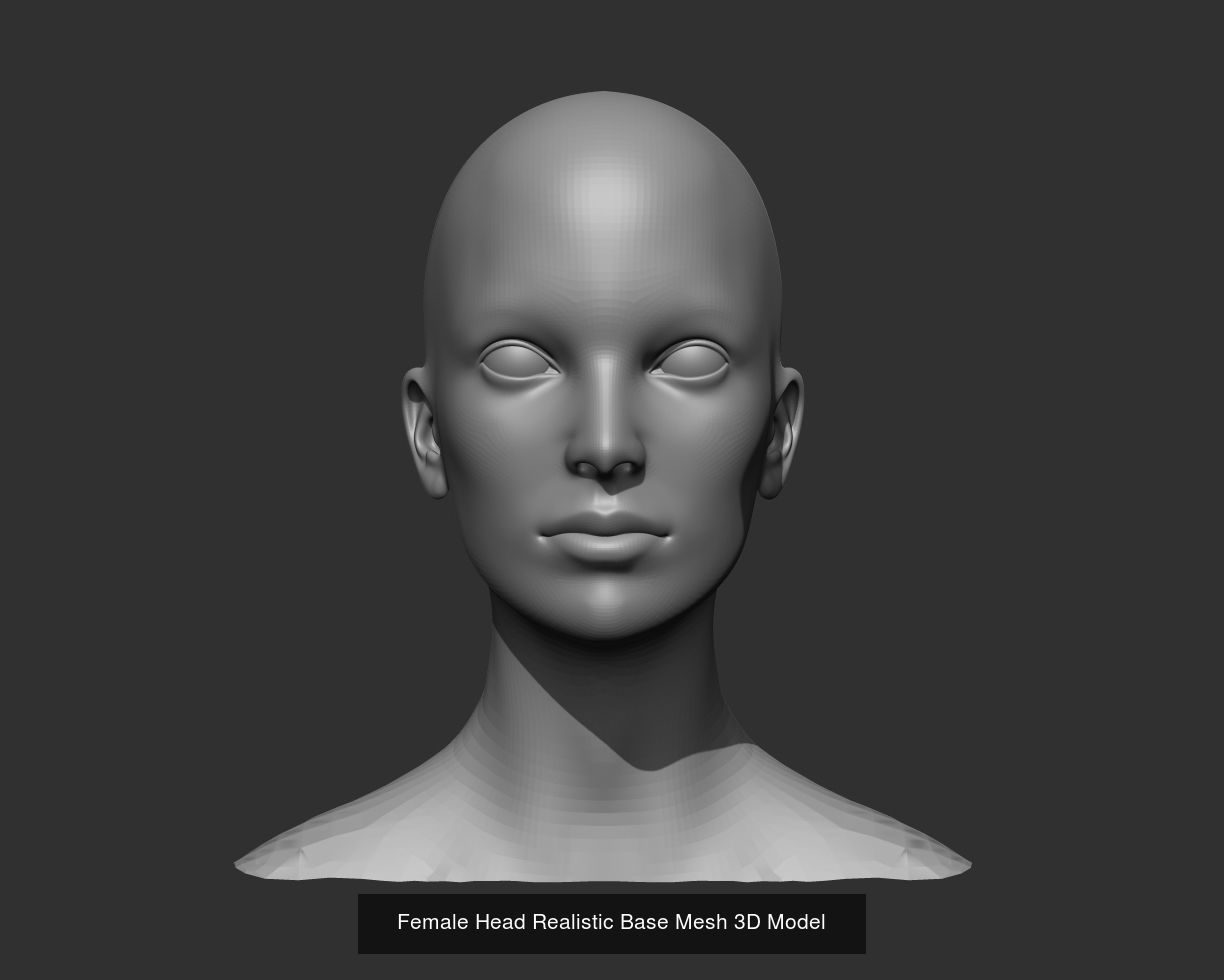 Realistic Human Heads 3D Model Collection_4