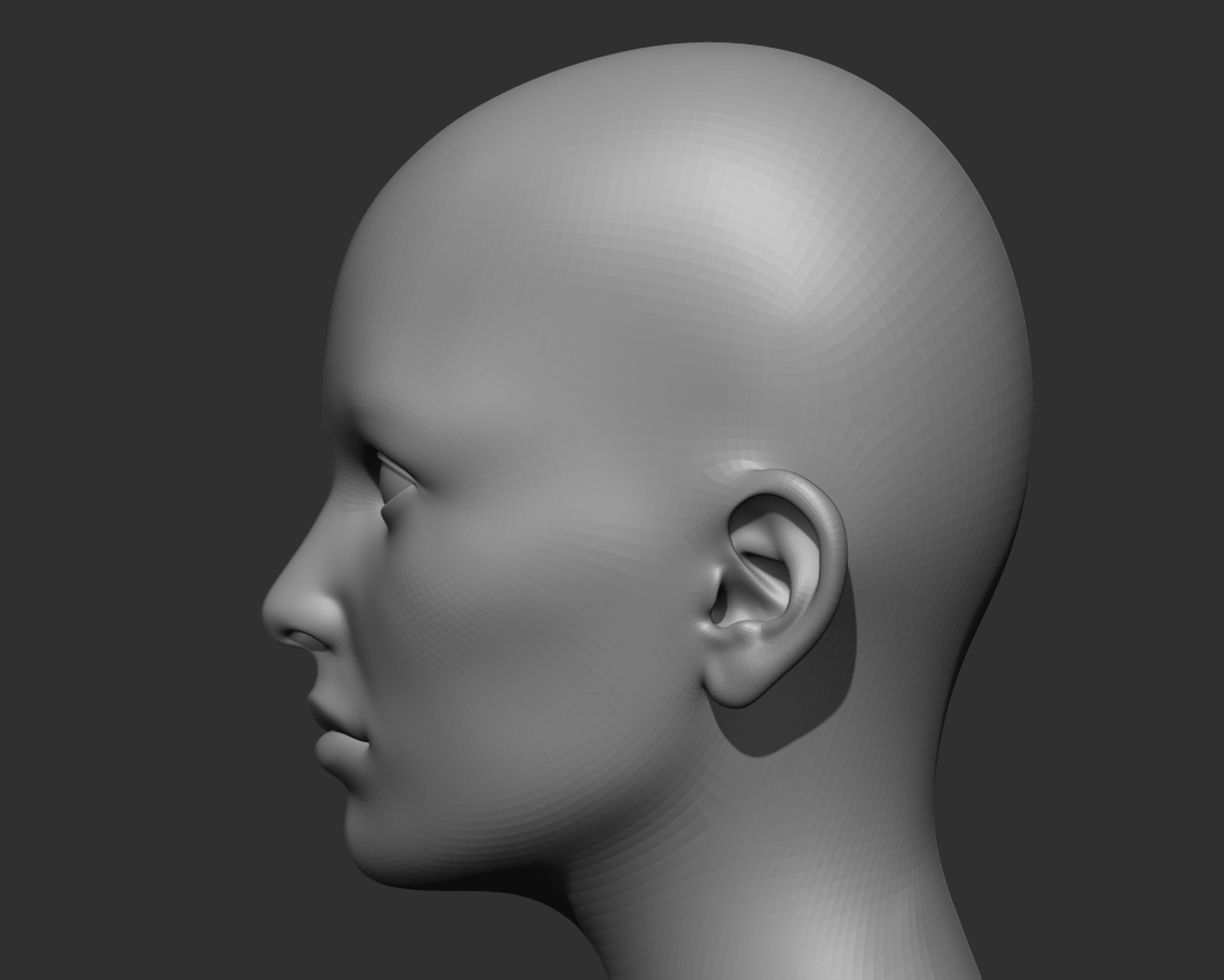 Realistic Human Heads 3D Model Collection_19