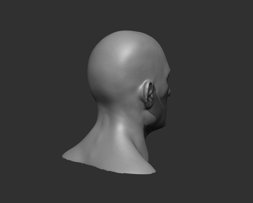 Realistic Human Heads 3D Model Collection_41