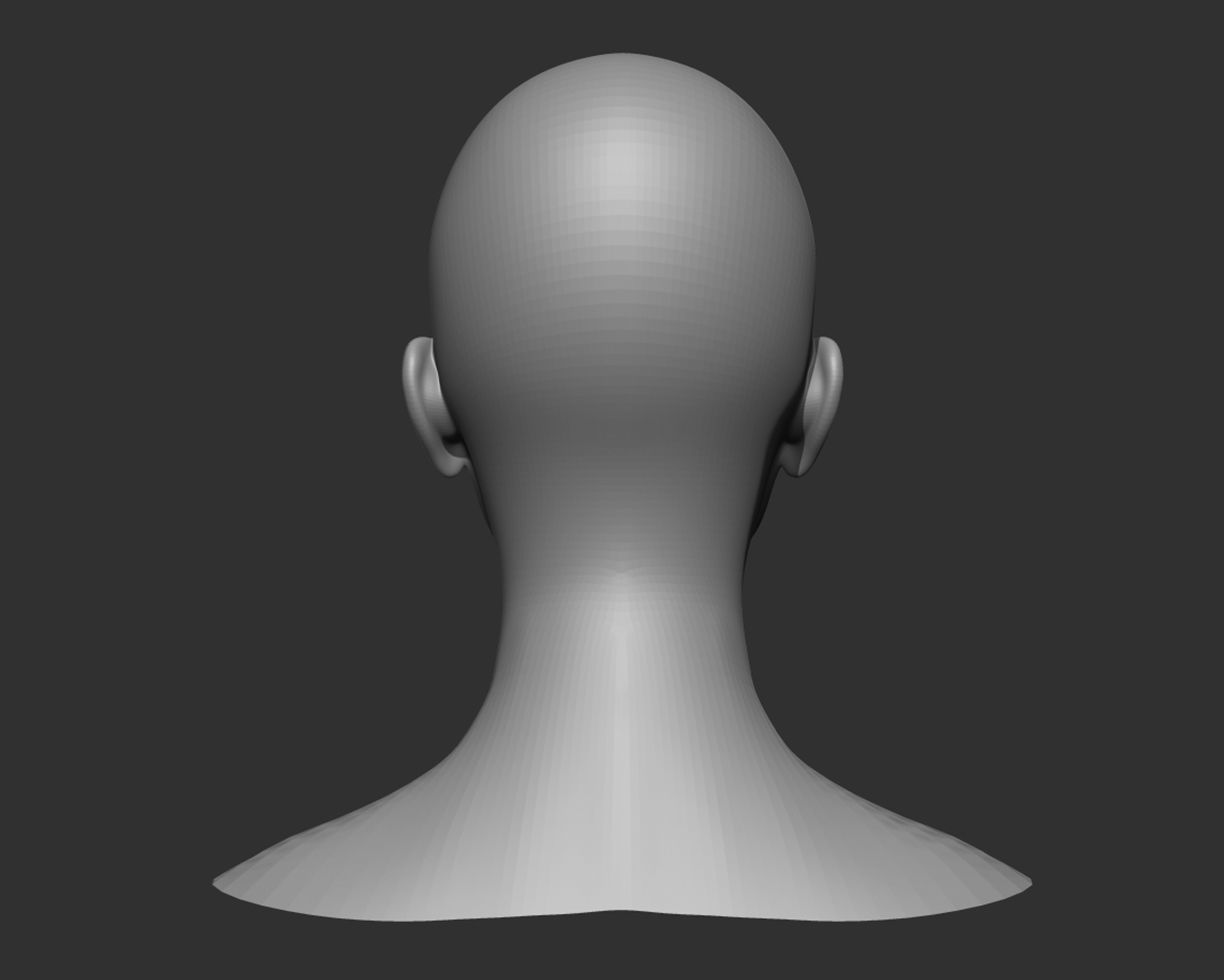 Realistic Human Heads 3D Model Collection_9