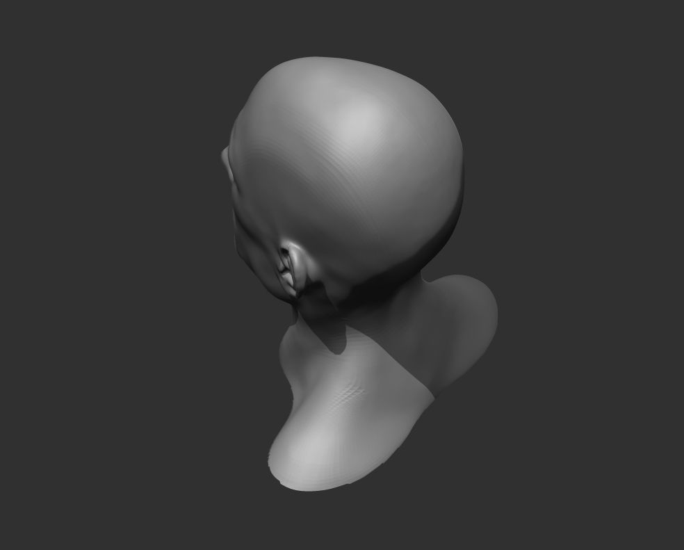 Realistic Human Heads 3D Model Collection_32