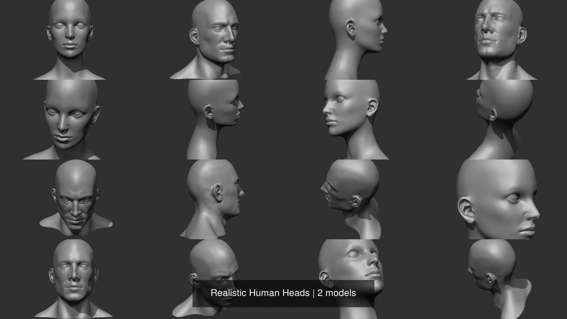 Realistic Human Heads 3D Model Collection_3