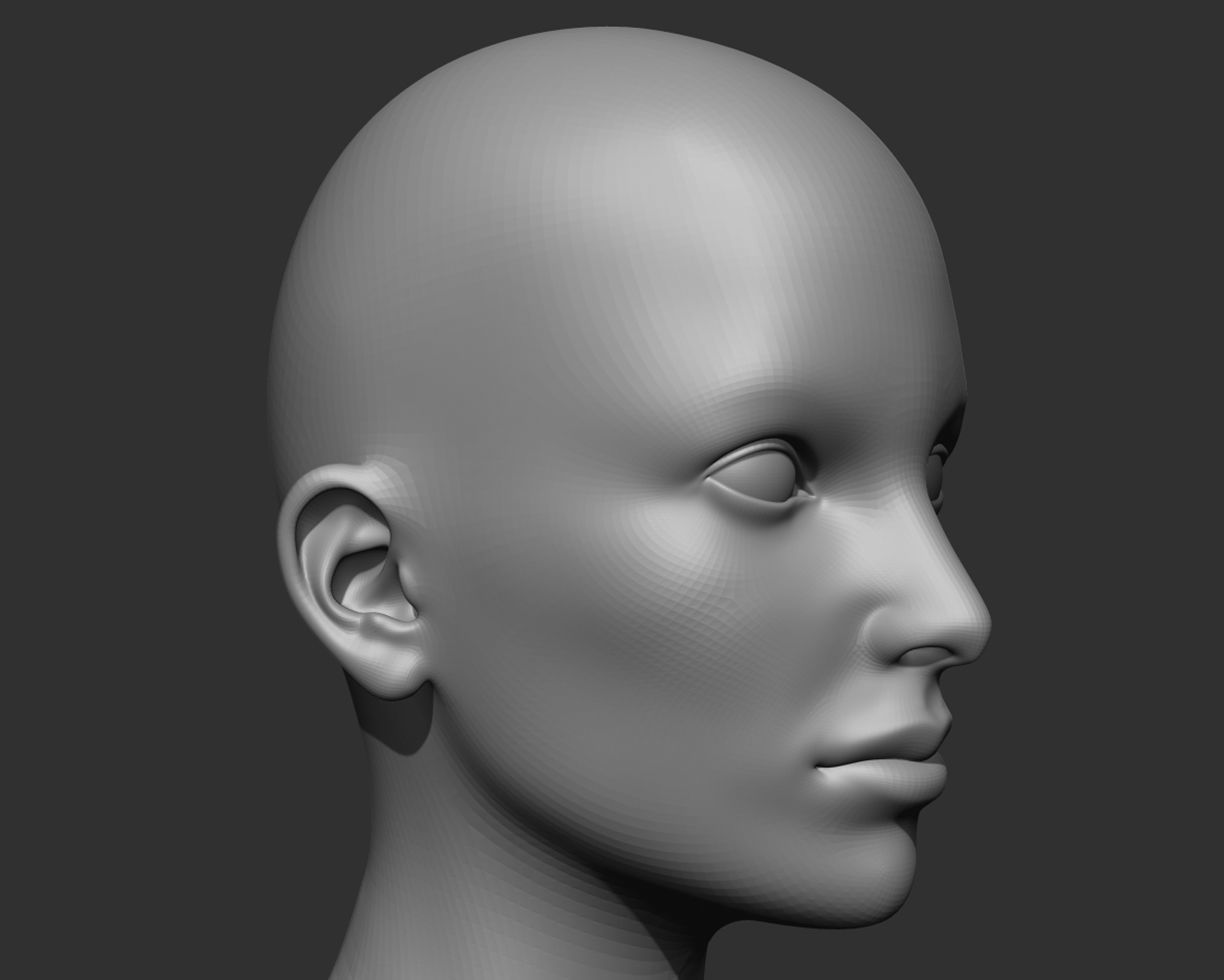 Realistic Human Heads 3D Model Collection_25