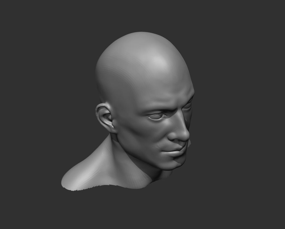 Realistic Human Heads 3D Model Collection_28