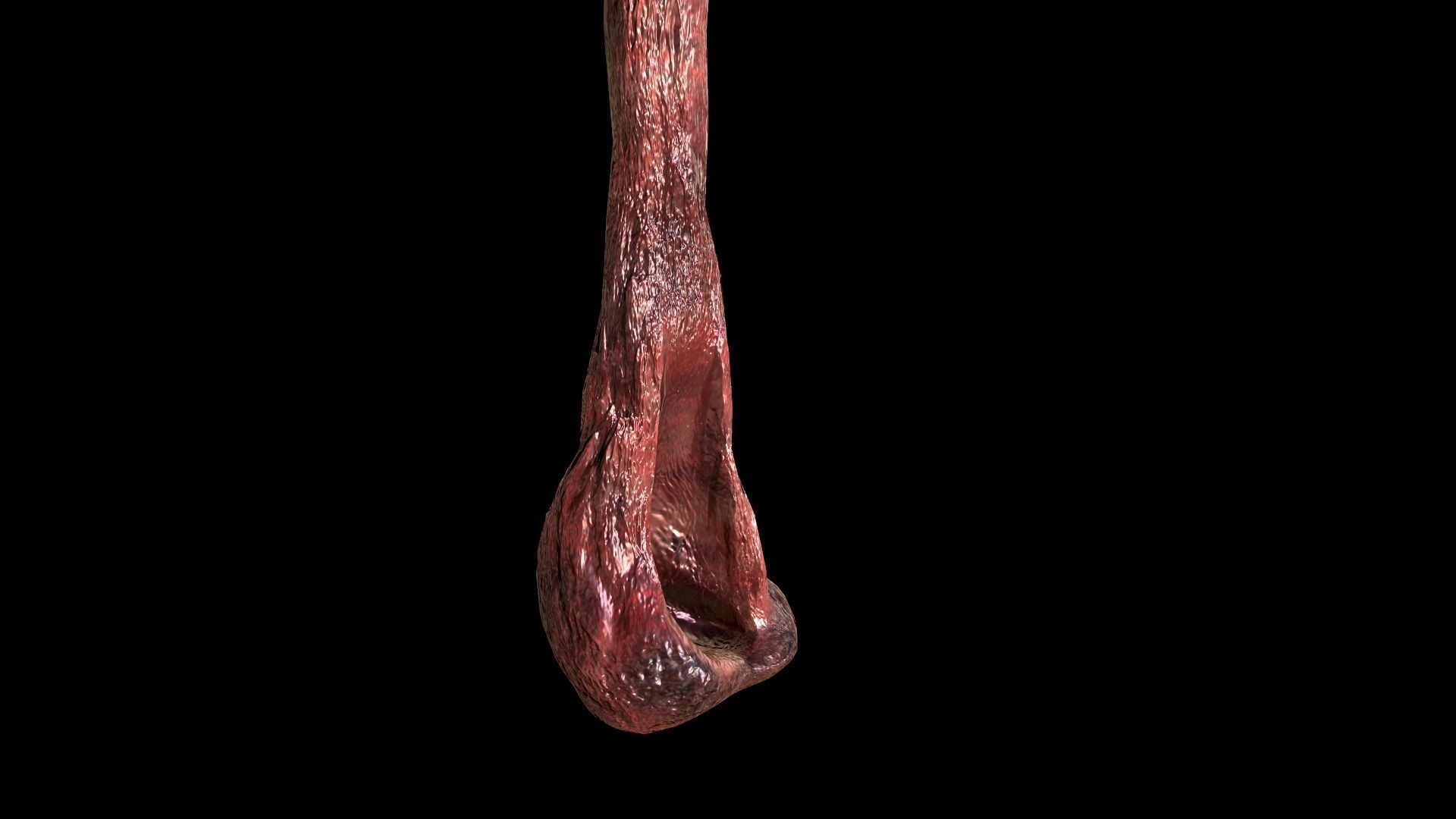 Horror Prop - Cocoon stench Animated  Low-poly 3D model_8