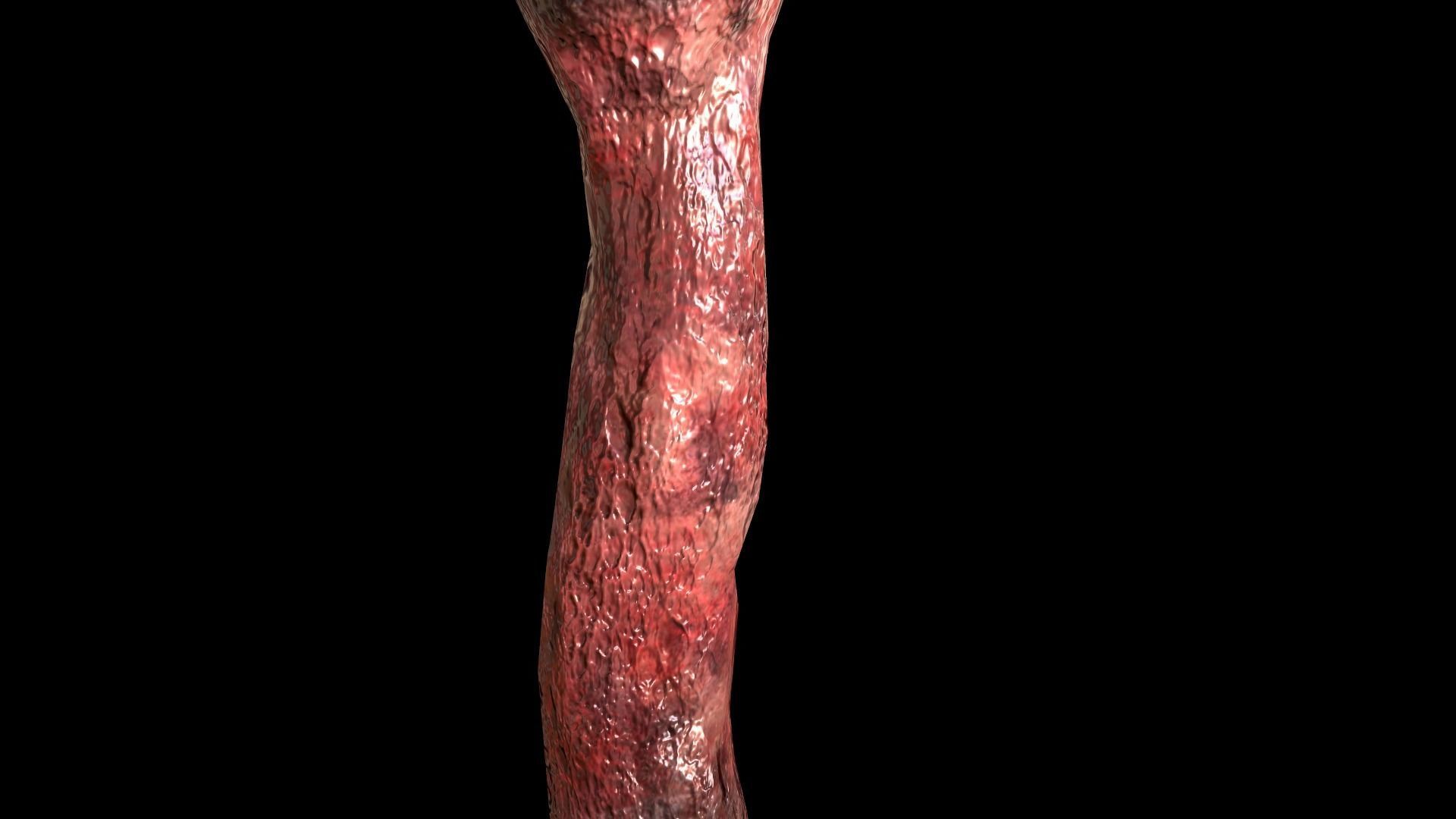 Horror Prop - Cocoon stench Animated  Low-poly 3D model_14