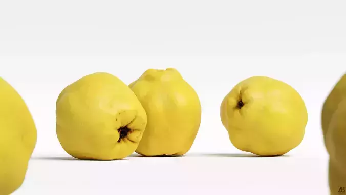 Quince 3D model