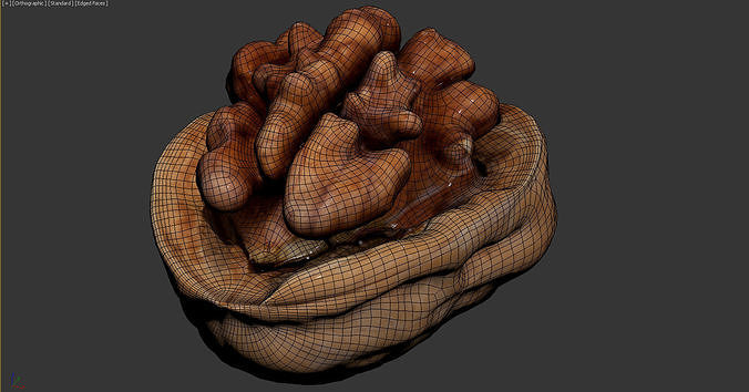 Walnut 3D model 6