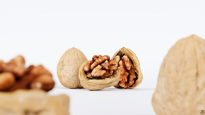 Walnut 3D model