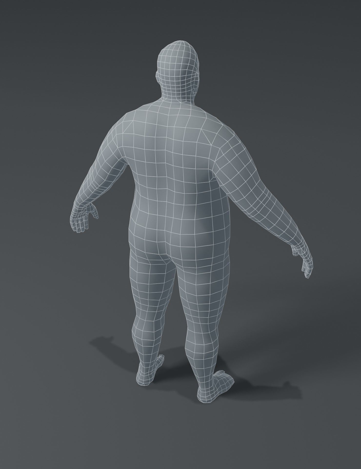 Human Body Base Mesh 3D Model Collection_77