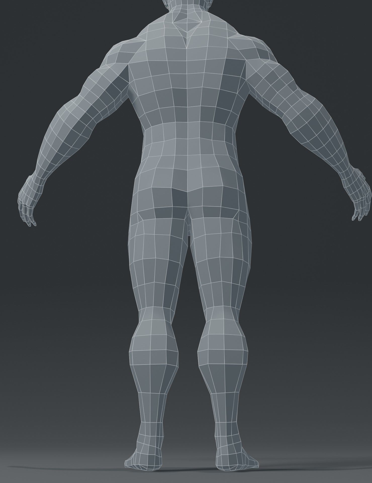 Human Body Base Mesh 3D Model Collection_111