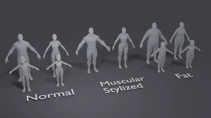 Human Body Base Mesh 3D Model Collection