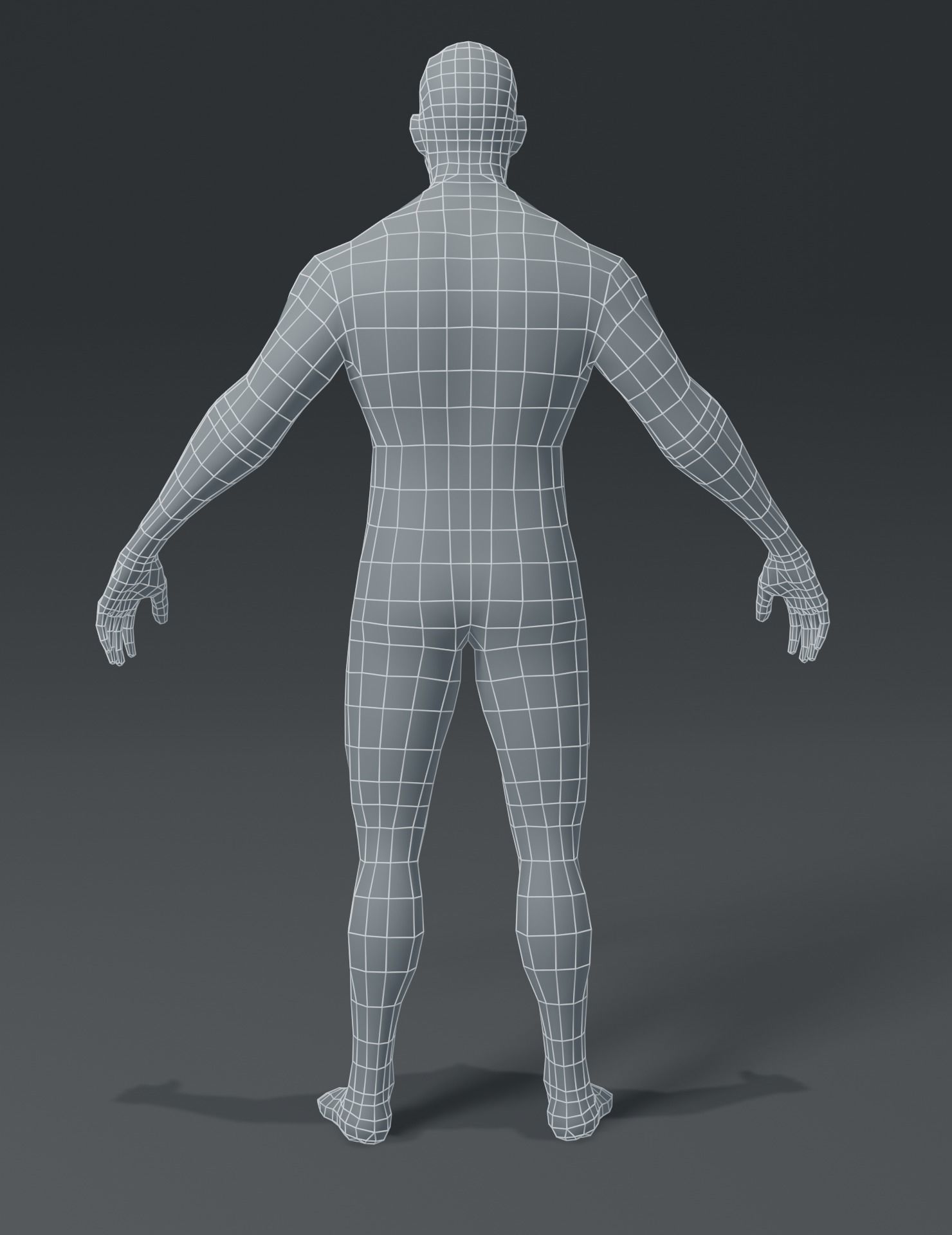 Human Body Base Mesh 3D Model Collection_31