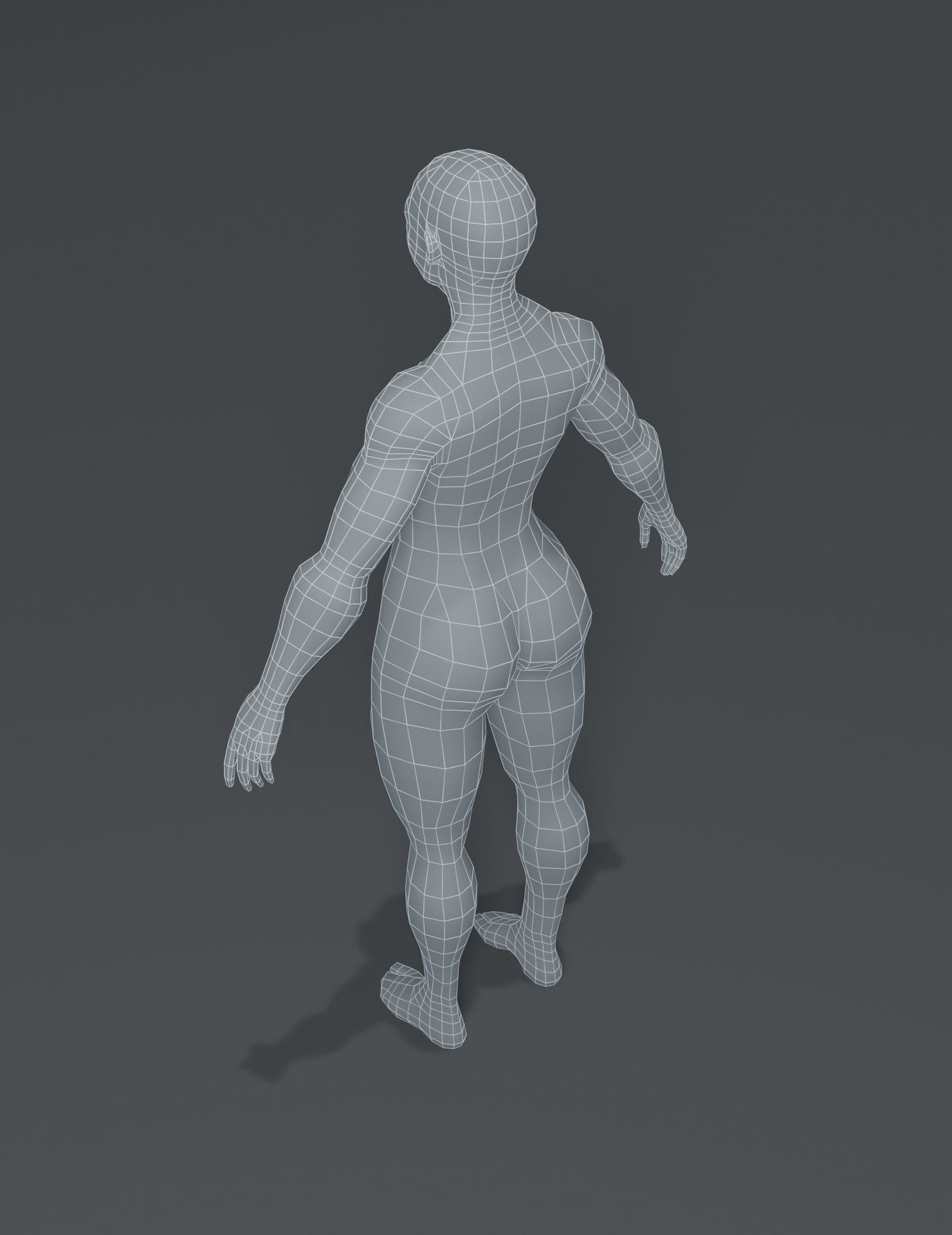 Human Body Base Mesh 3D Model Collection_133