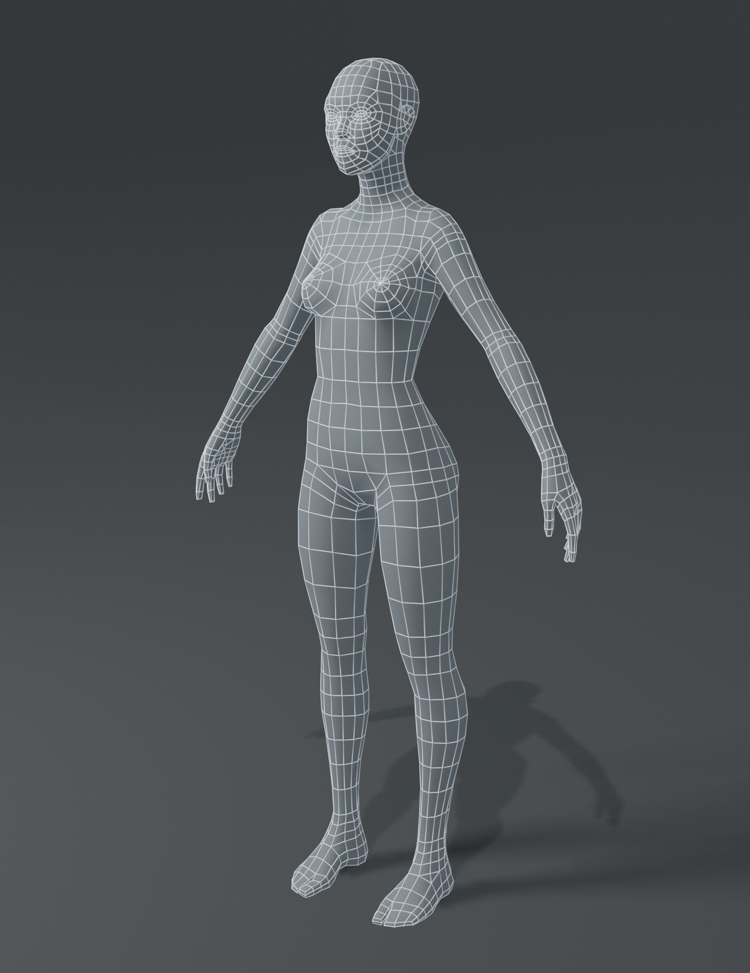 Human Body Base Mesh 3D Model Collection_57