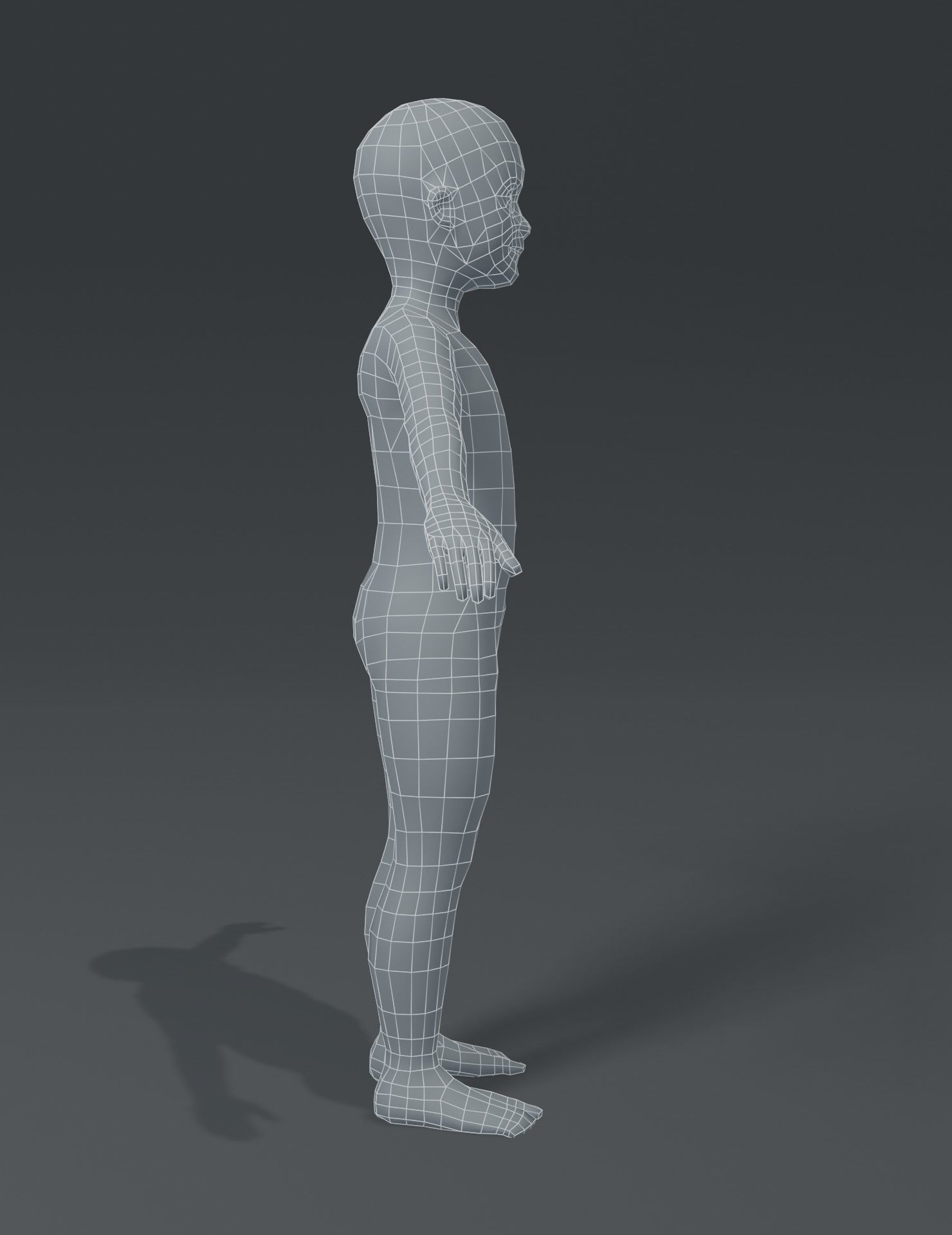 Human Body Base Mesh 3D Model Collection_157
