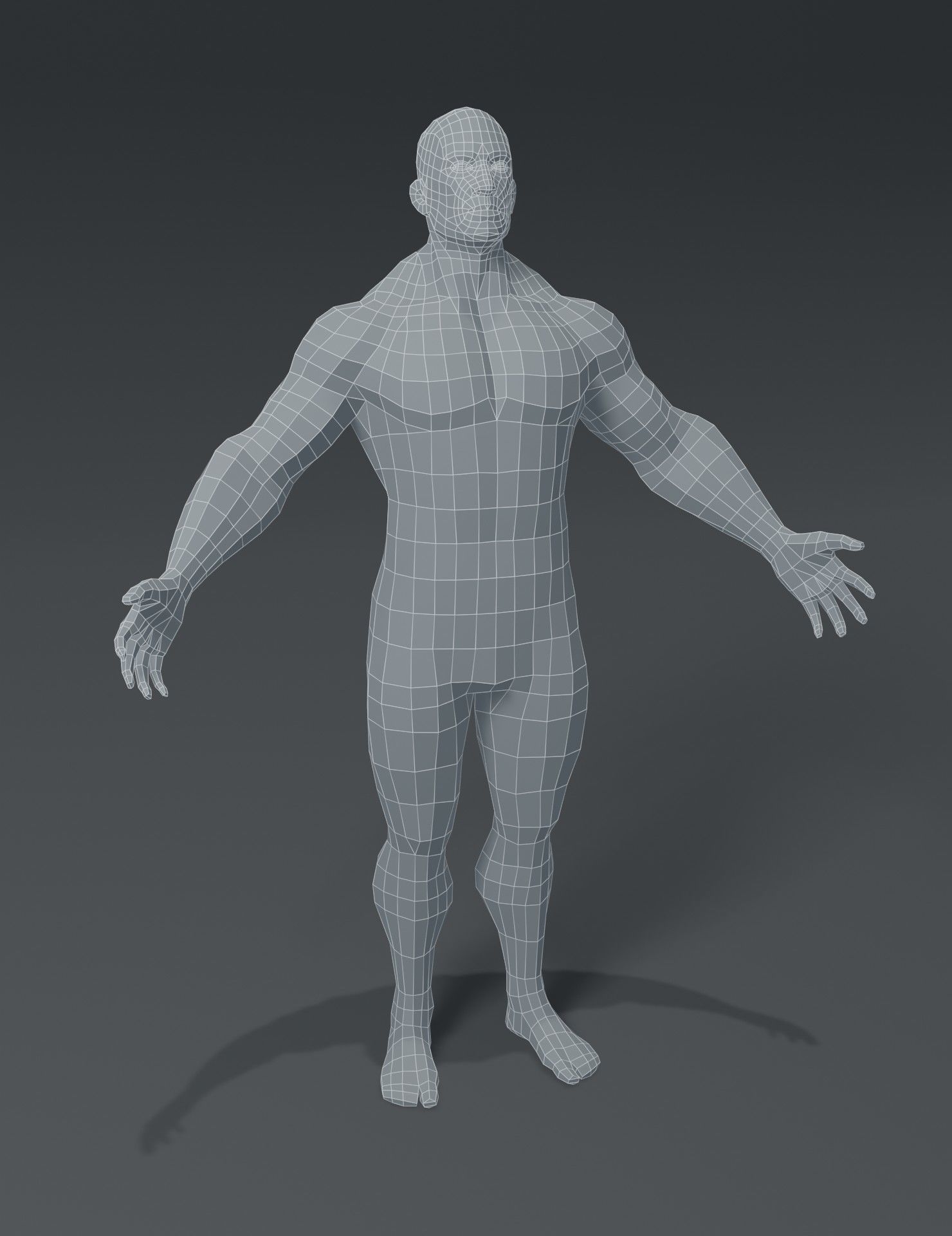 Human Body Base Mesh 3D Model Collection_101