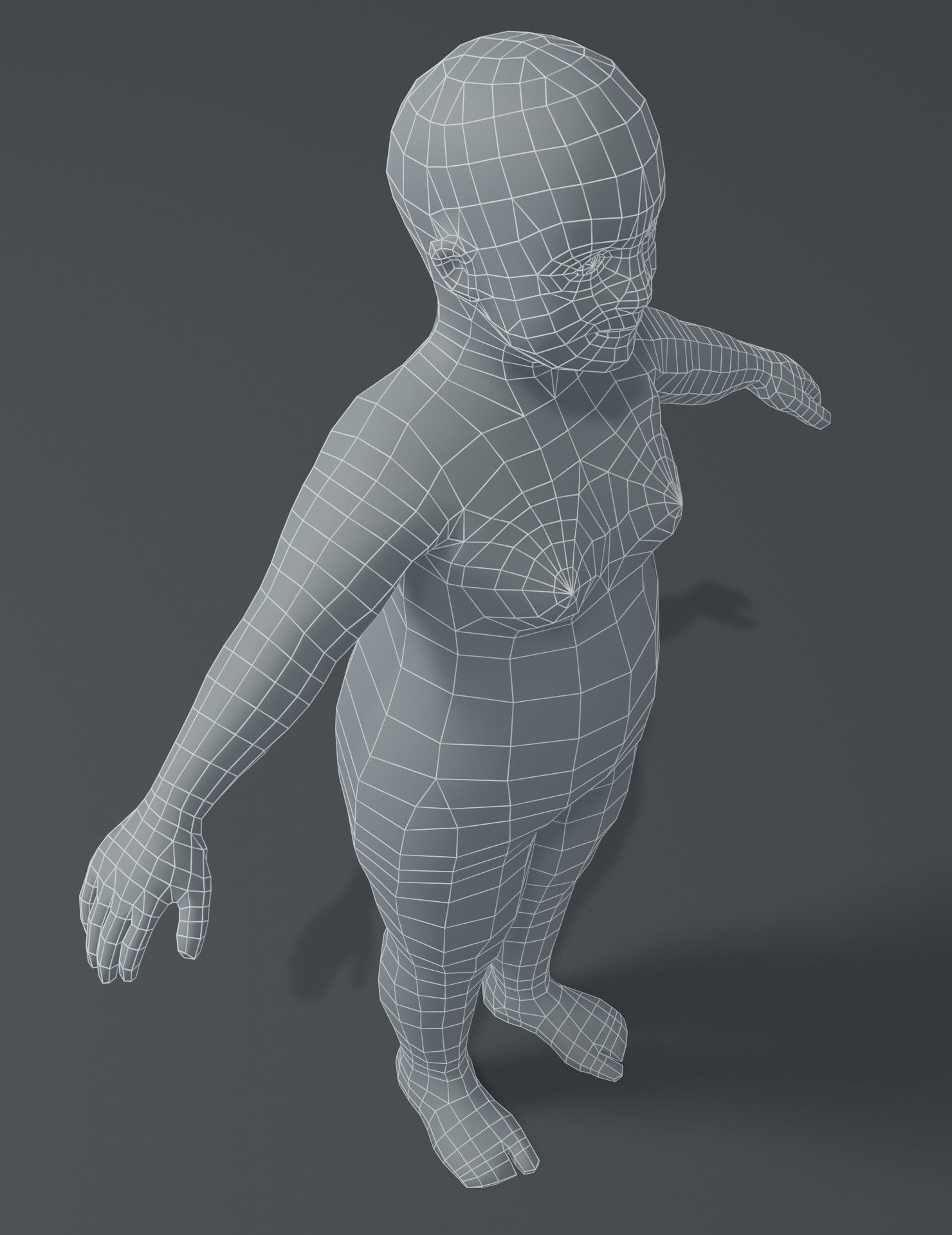 Human Body Base Mesh 3D Model Collection_205